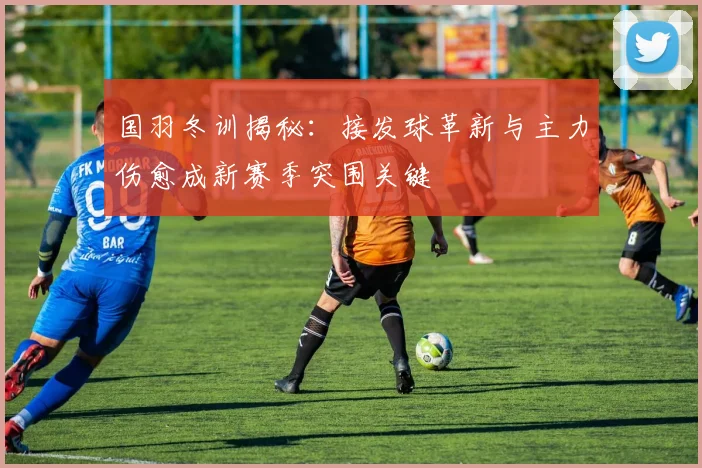 国羽冬训揭秘：接发球革新与主力伤愈成新赛季突围关键