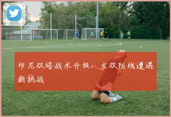 印尼双塔战术升级，女双防线遭遇新挑战